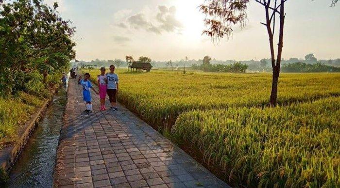 Ekowisata Subak Sembung di Desa Peguyangan, Kecamatan Denpasar Utara, Kabupaten Denpasar, Bali menawarkan area jogging track dan pemandangan yang menakjubkan.