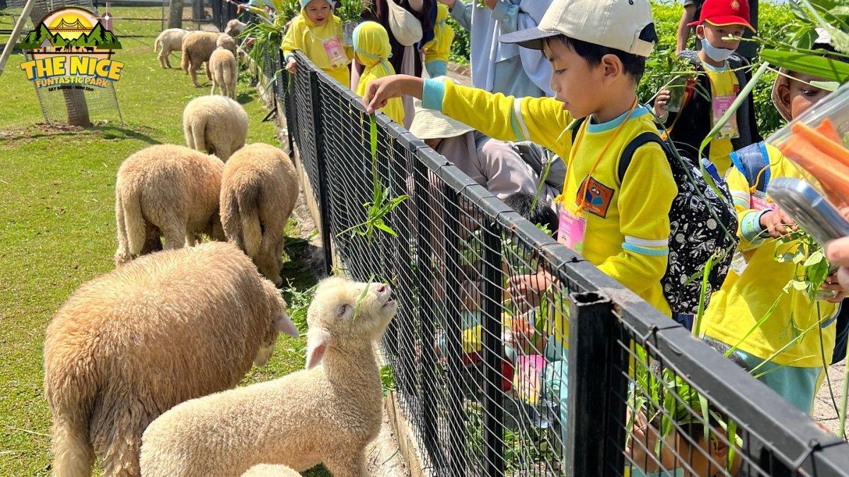 Ada mini zoo di Playground The Nice Funtastic Park Cianjur Jawa Barat.