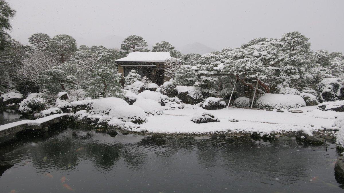 Adachi Museum of Art, satu taman terbaik di Jepang di mana kamu bisa menikmati keindahan empat musim.