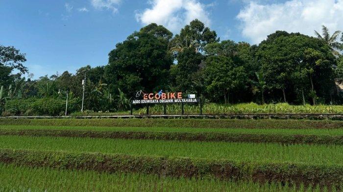 Agro Eduwisata Organik Mulyaharja, tempat wisata alam populet di Kota Bogor, Jawa Barat.