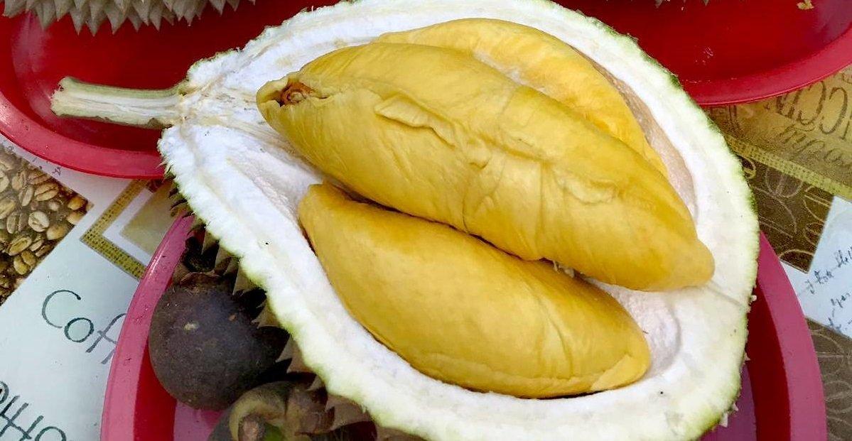 Ah Di Dempsey Durian, satu warung durian terbaik di Singapura.