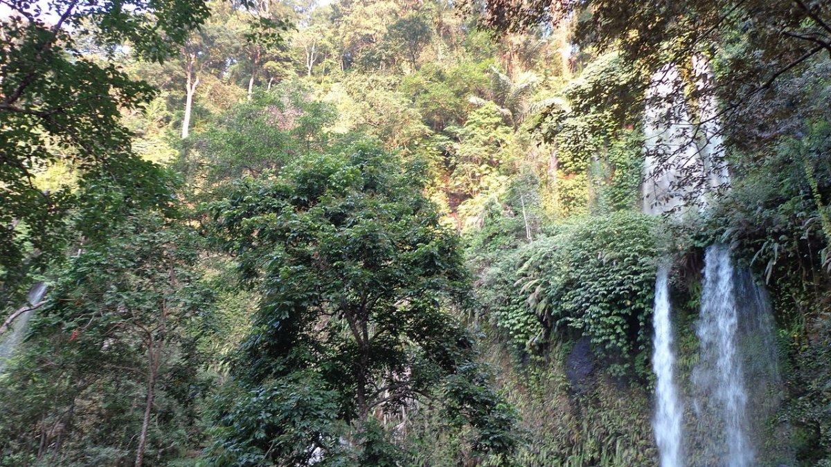 Air Terjun Sendang Gile, satu tempat wisata alam di Lombok