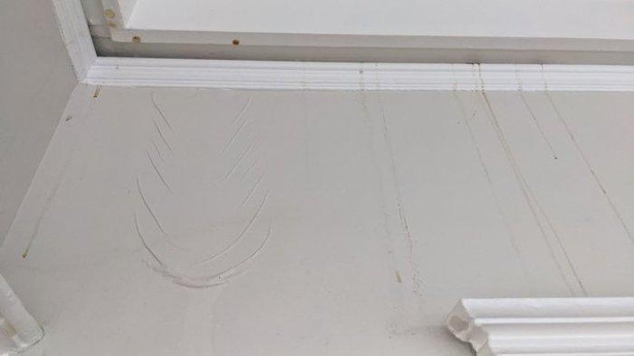 Airbnb di San Francisco, Amerika Serikat yang dirusak tamu. Viral pemilik Airbnb menjadi gelandangan setelah ulah tamu yang merusak properti penginapan, menyumbat toilet dengan kotoran manusia dan tisu bayi.