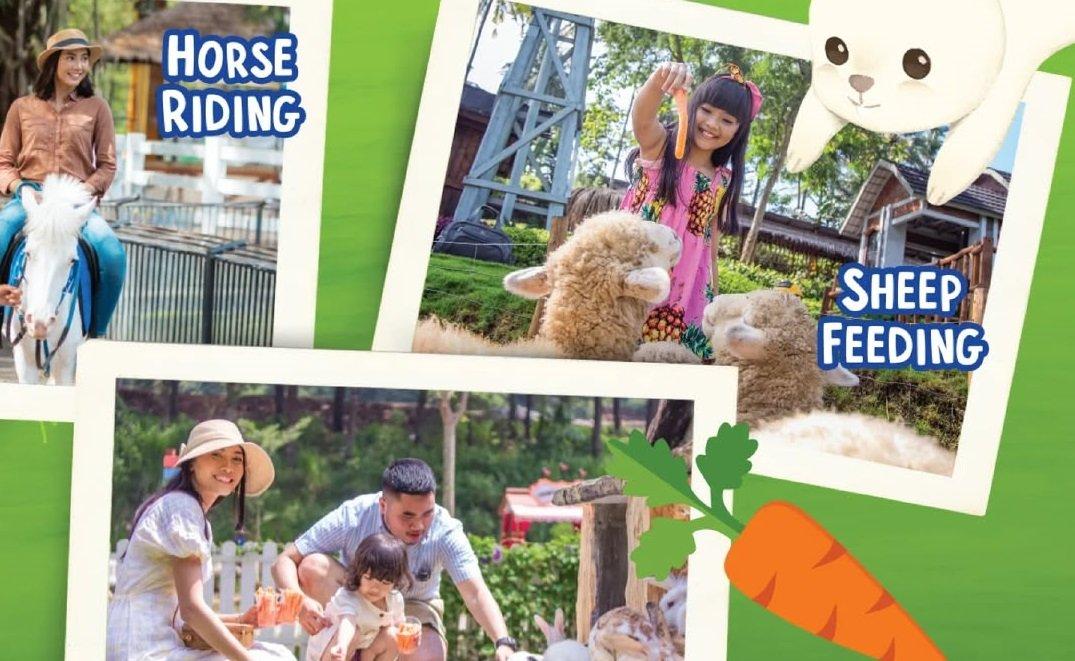 Aktivitas seru yang bisa dilakukan di Cimory Dairyland Gowa