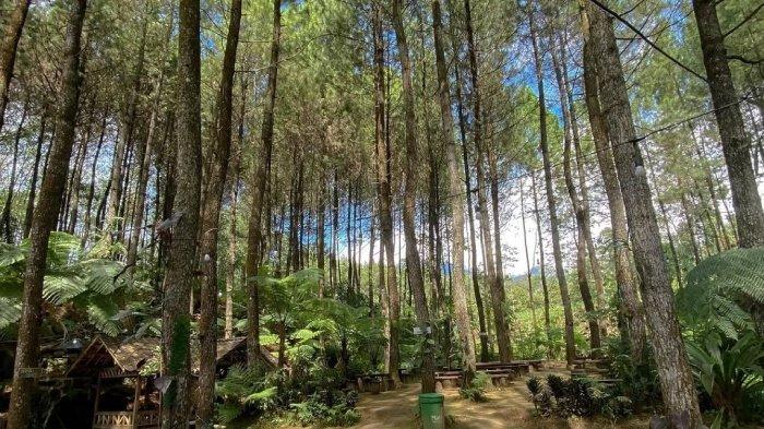 Alas Pakis, destinasi di Malang, Jawa Timur yang cocok untuk nongkrong dan hunting foto.