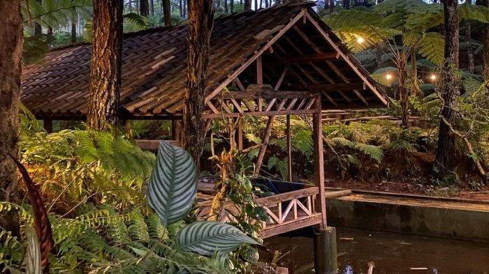 Alas Pakis, destinasi di Malang, Jawa Timur yang cocok untuk nongkrong dan hunting foto.