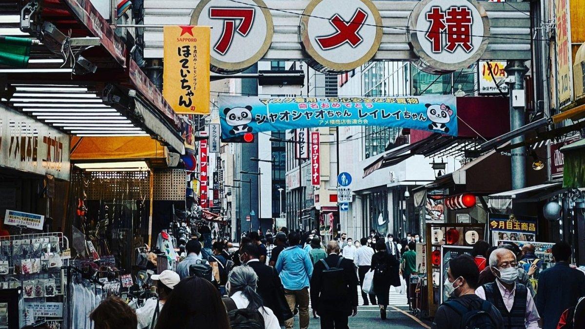Ameya Yokocho, satu pusat oleh-oleh terbaik di Tokyo Jepang.