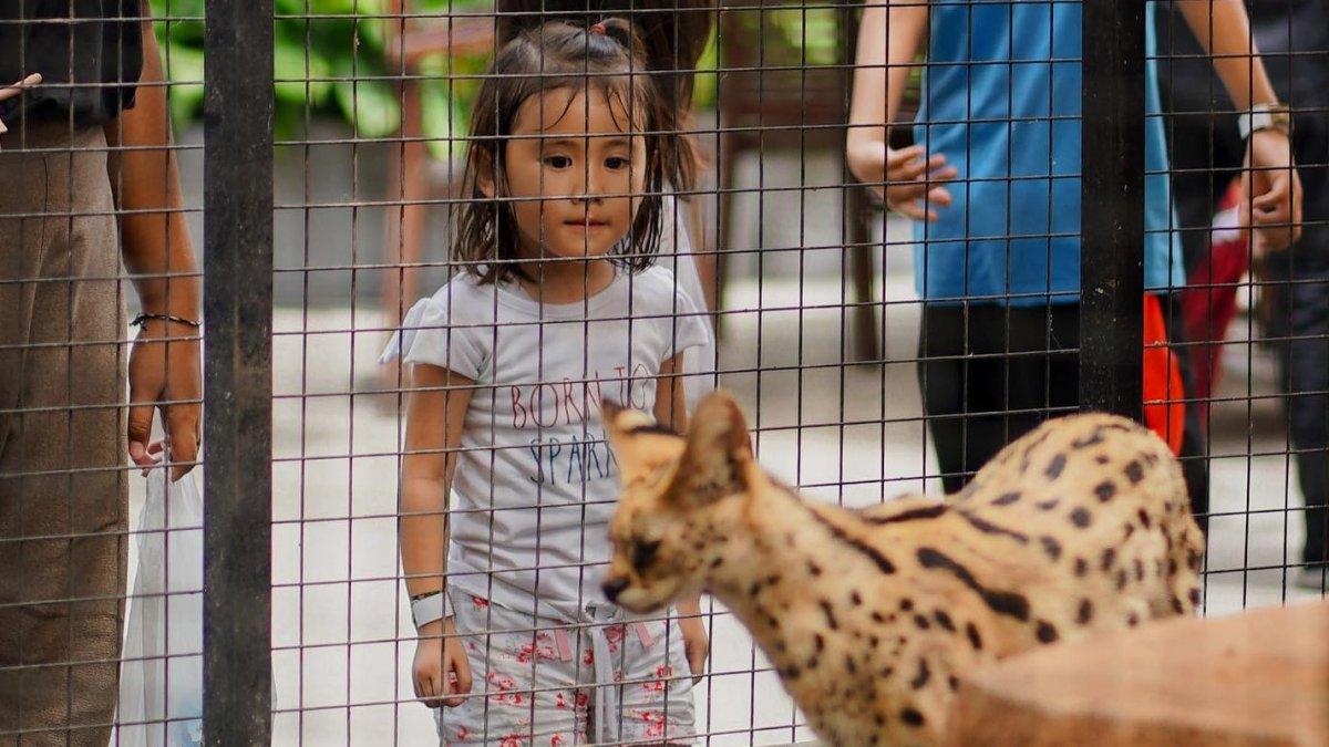 Anak-anak yang menyaksikan satwa di Suraloka Zoo Jogja
