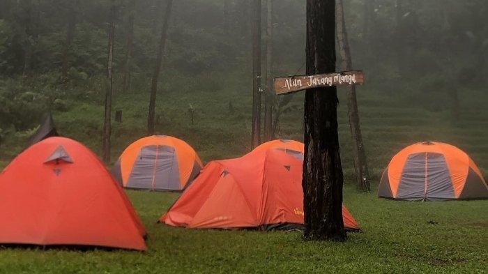 Area camping ground di Rumah Angsa Guci, Tegal, Jawa Tengah.
