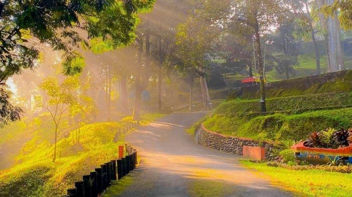 Area jogging track di Taman Kyai Langgeng Magelang, Jawa Tengah.