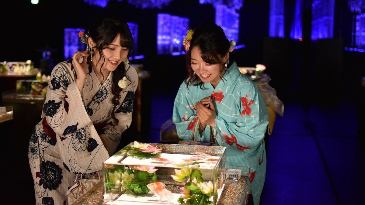 Art Aquarium Museum GINZA, satu tempat wisata populer di Jepang