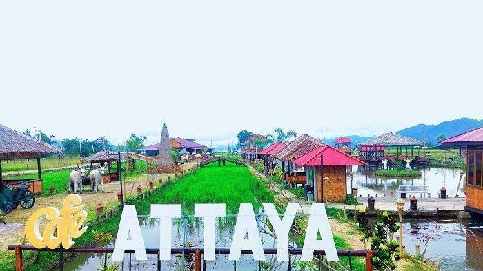 Attaya Cafe And Resto, satu tempat makan hits di Sumatera Utara.