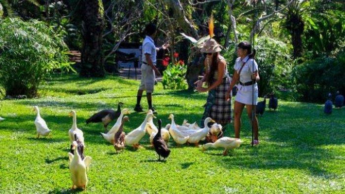 Serunya suasana di Bali Bird Park, Singapadu, Batubulan, Gianyar, Bali.