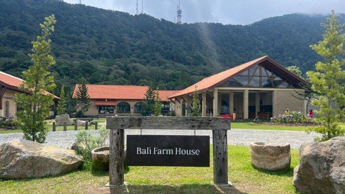 Bali Farm House merupakan tempat wisata pertama dan satu-satunya yang memiliki alpaca di Bali.