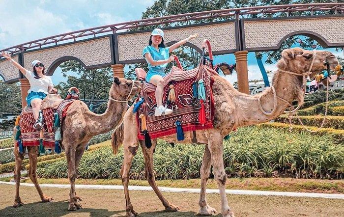 Pengunjung tengah menikmati wahana Batu Love Garden di Pandanrejo, Bumiaji, Kota Batu, Jawa Timur.