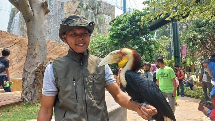Berinteraksi secara langsung dengan berbagai jenis burung di Jakarta Bird Land