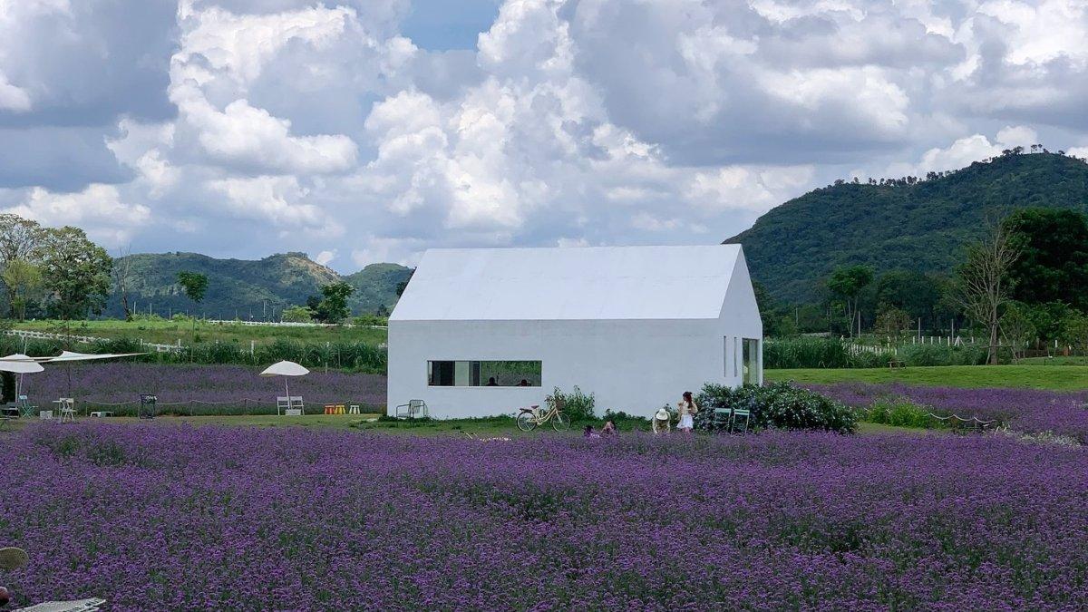 Blossom Bloom, satu kafe terbaik di Khao Yai Thailand yang menarik buat kamu jelajahi.