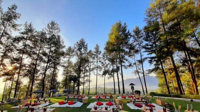 Indahnya pemandangan Candi Borobudur dari Bukit Dagi di pagi hari, Senin (28/9/2020).