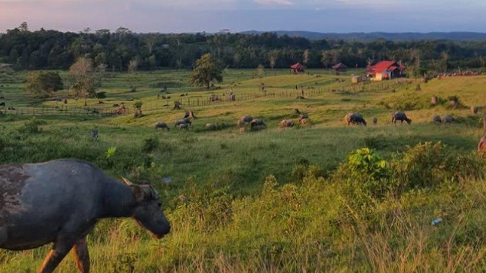Bukit Kebo Balikpapan.