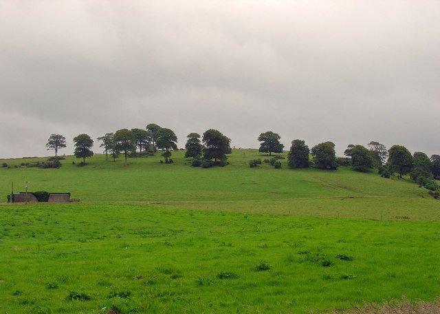 Bukit Knockainey, satu tempat di Irlandia buat bertemu peri.