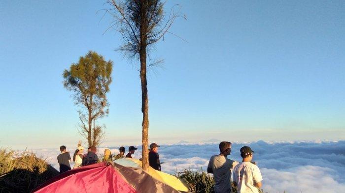 PENDAKIAN BUKIT MONGKRANG - Pemandangan dari puncak Bukit Mongkrang di Karanganyar, Kamis (13/3/2025). Traveler yang ingin mendaki Bukit Mongkrang, bisa menyimak itinerary tektok yang telah TribunTravel rangkum dengan bujet Rp 115 ribuan.
