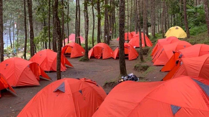 Bumi Perkemahan Pleseran, Tawangmangu, Karanganyar, Jawa Tengah.