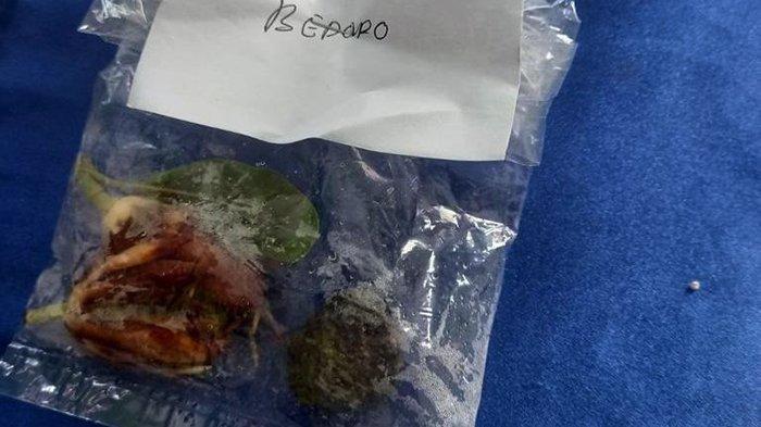 Bungkusan berisi mirip bunga sajen yang diberi tulisan nama desa dikirimkan oleh orang tak dikenal ke 5 kantor desa di Kabupaten Sragen. Foto penampakan bunga sajen yang dikirim seseorang ke kantor desa di wilayah Kecamatan Sambungmacan, Kabupaten Sragen, Selasa (28/11/2023).