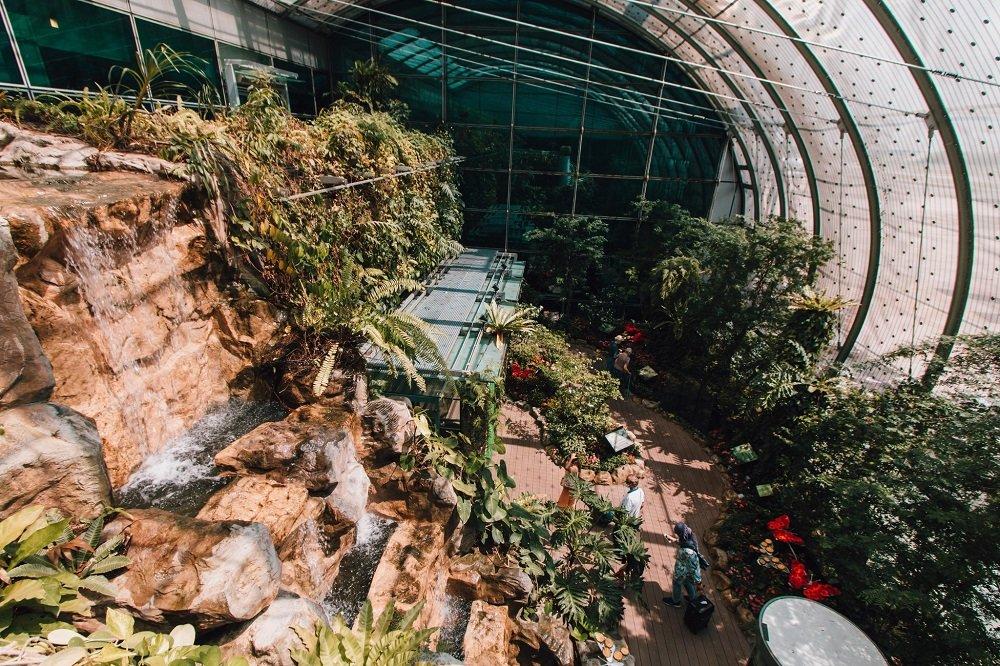 Butterfly Garden di Bandara Changi Singapura