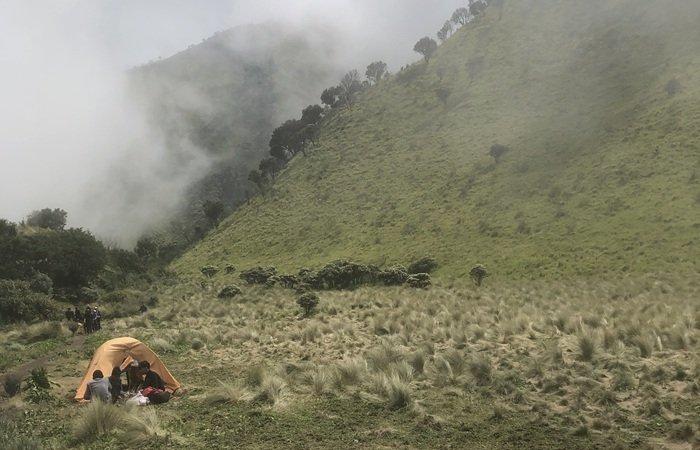 PENDAKIAN GUNUNG MERBABU - Panorama menawan yang terlihat dari jalur pendakian Gunung Merbabu, Jumat (28/2/2025). Gunung Merbabu bisa dibilang sebagai gunung terindah di Jawa Tengah. Traveler yang ingin mendaki Gunung Merbabu, bisa menyimak itinerary 2 hari 1 malam dengan bujet Rp 115 ribuan per orang yang telah dirangkum TribunTravel berikut.