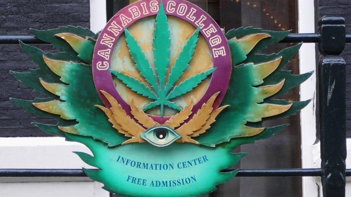 Cannabis College, satu tempat wisata di Amsterdam Belanda yang gratis buat kamu kunjungi.