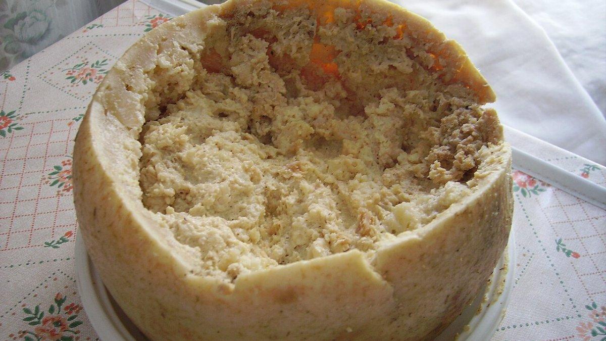 Casu marzu, satu keju paling berbahaya di dunia.
