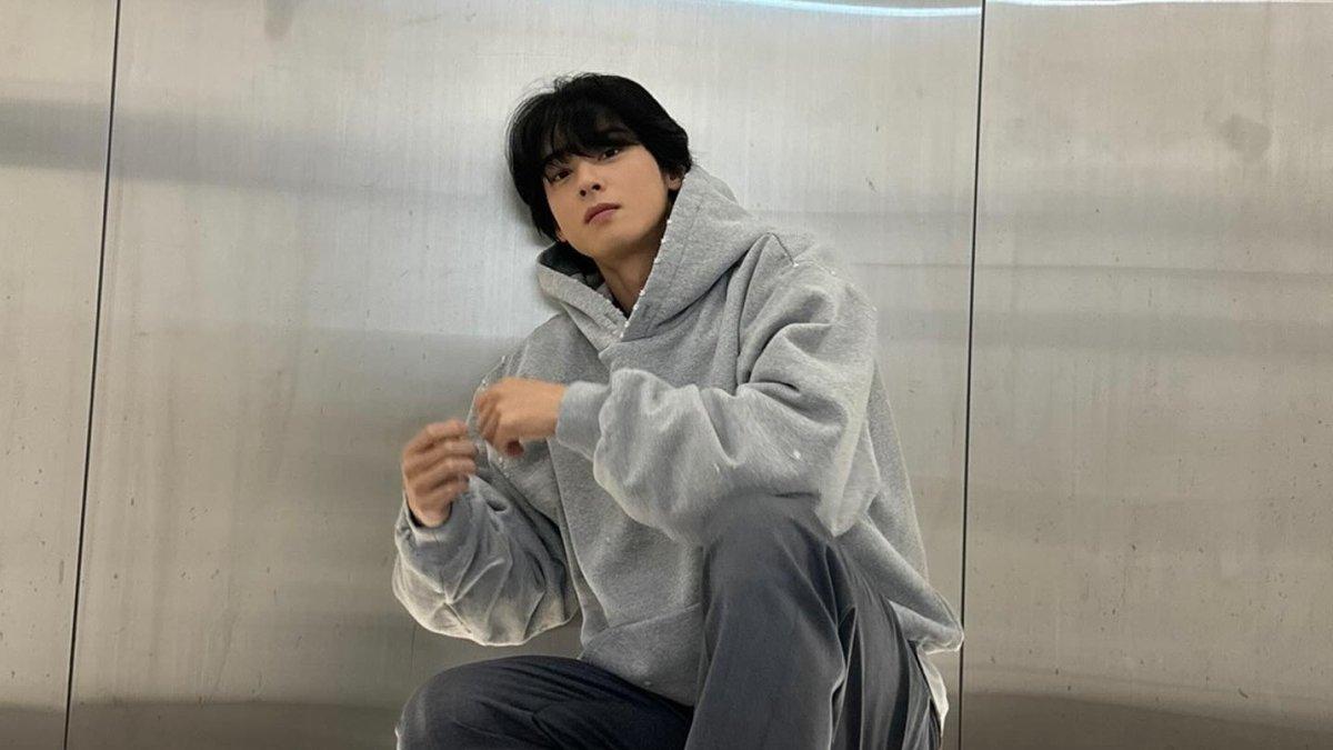 Cha Eun Woo yang sering jadi pemeran utama dalam drama adaptasi Webtoon