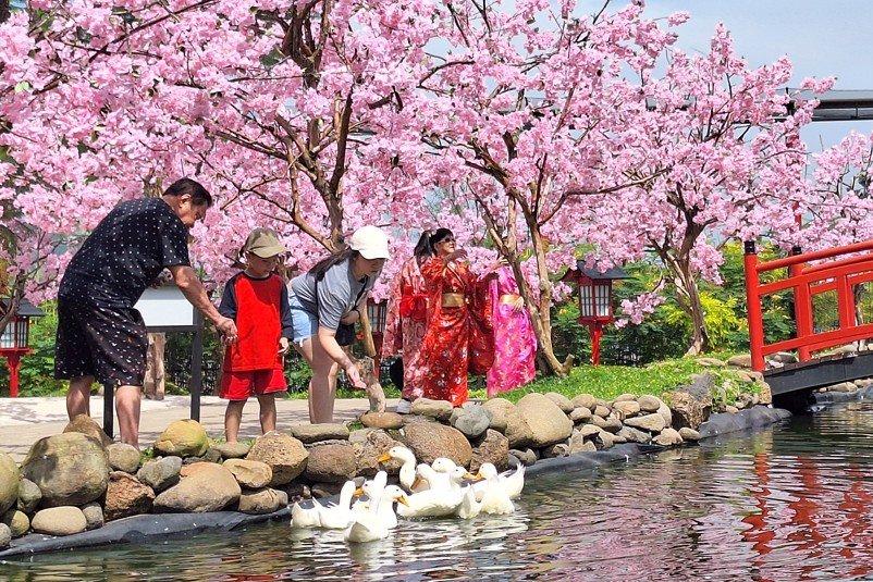 Cimory Dairyland Gowa hadir sebagai pilihan wisata edukatif