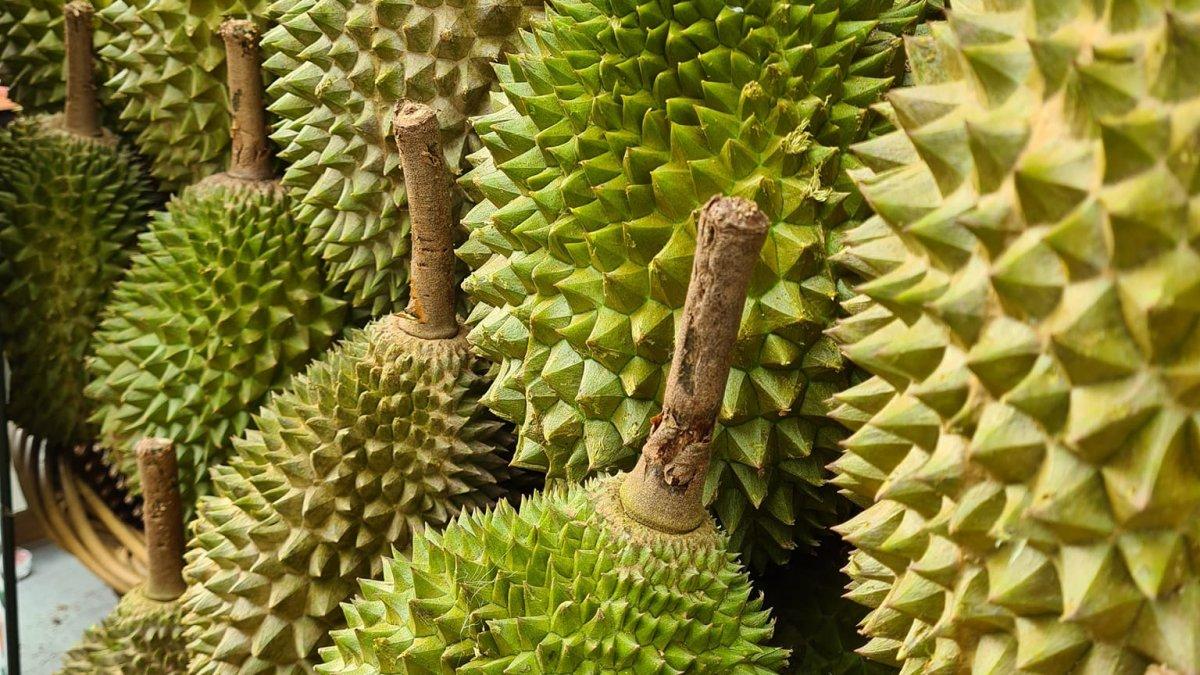 Combat Durian, satu warung durian terbaik di Singapura.