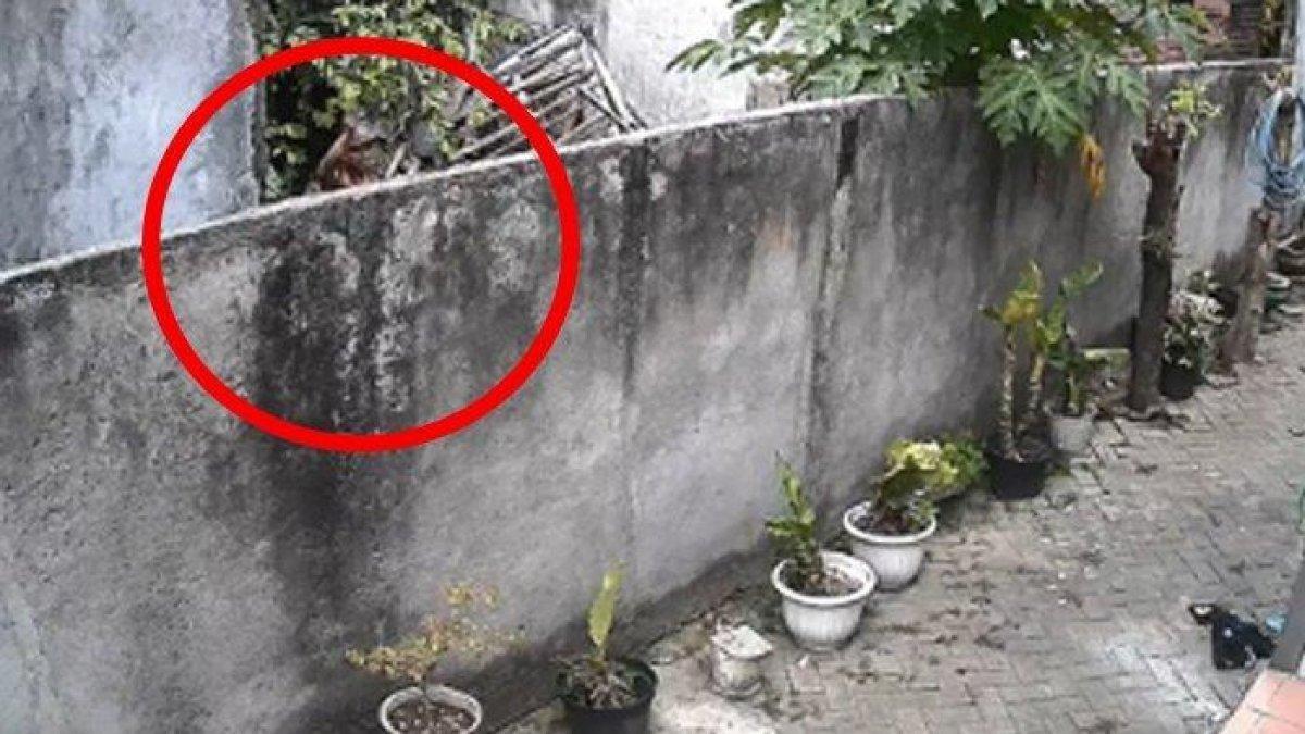 Curhat warga Trenggalek, kerap diteror tetangganya. Rumah dilempari batu dan sampah.