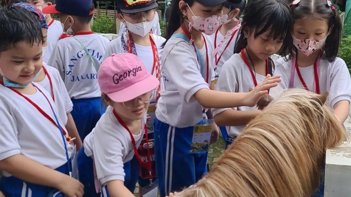 DKandang Amazing Farm, satu tempat wisata di Depok Jawa Barat yang cocok dikunjungi bareng anak saat libur sekolah.