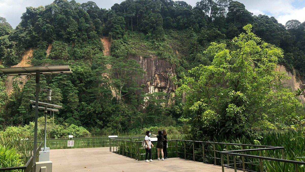 Dairy Farm Nature Park, satu tempat wisata ramah anak di Singapura yang gratis dikunjungi wisatawan.