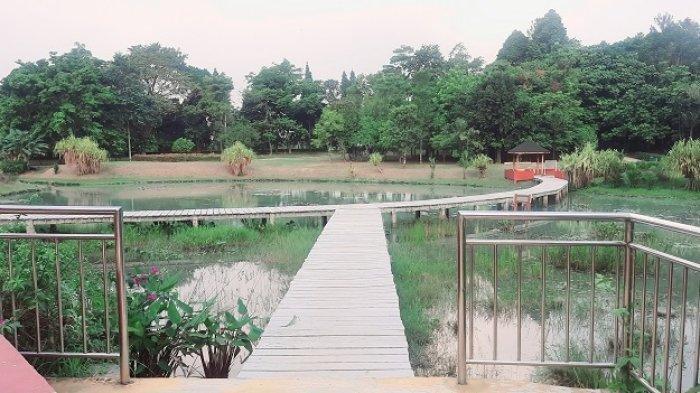 Pemandangan indah di Danau Dora, Kebun Raya Cibinong, Kabupaten Bogor, pada Kamis (25/7/2024).