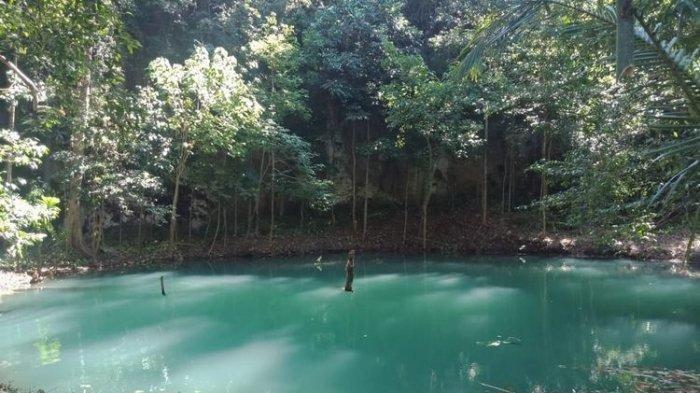 Danau Tiwu Cewe atau Danau Kuali di Desa Haju Wangi, Kecamatan Lambaleda Utara (LAUT), Kab. Manggarai Timur, NTT, Selasa, (5/4/2022) memiliki daya tarik bagi wisatawan yang berwisata di Pantai Utara (Pantura) dari Manggarai Timur.