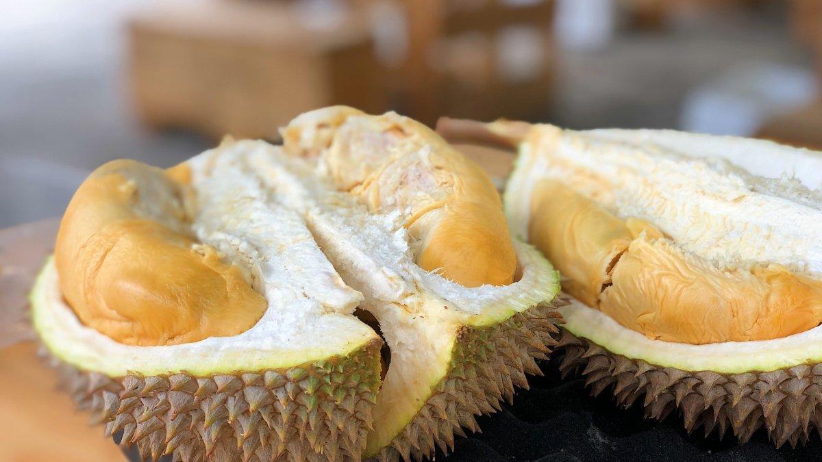 Ilustrasi buah durian untuk diolah jadi es durian buat makan siang enak.