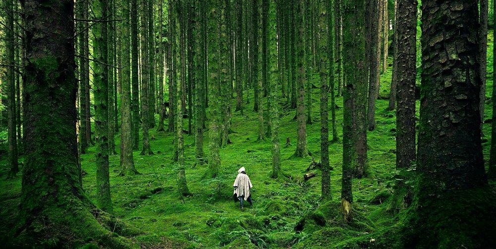 Deretan tempat paling berhantu di Jepang