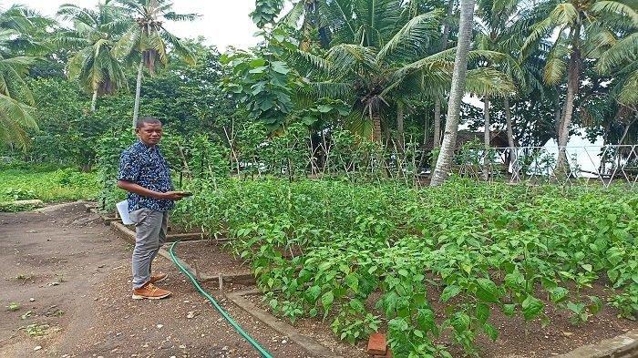 Kepala Desa Hadakewa Klemens Kwaman sedang menunjukkan lahan pertanian organik yang baru dibuka di kompleks wisata Pantai Hadakewa, Selasa (7/2/2023).