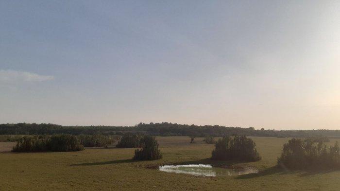 Desa Sentul Kecamatan Tanjung Batu, Ogan Ilir, Sumsel
