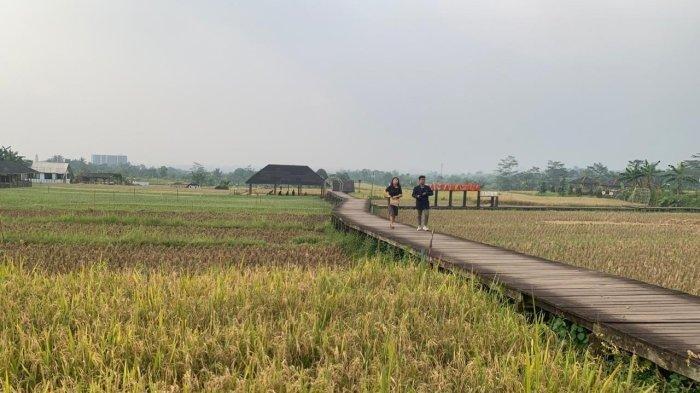 Desa Wisata Mulyaharja merupakan salah satu tempat wisata Bogor yang menawarkan suasana alam pedesaan yang asri dan menenangkan.