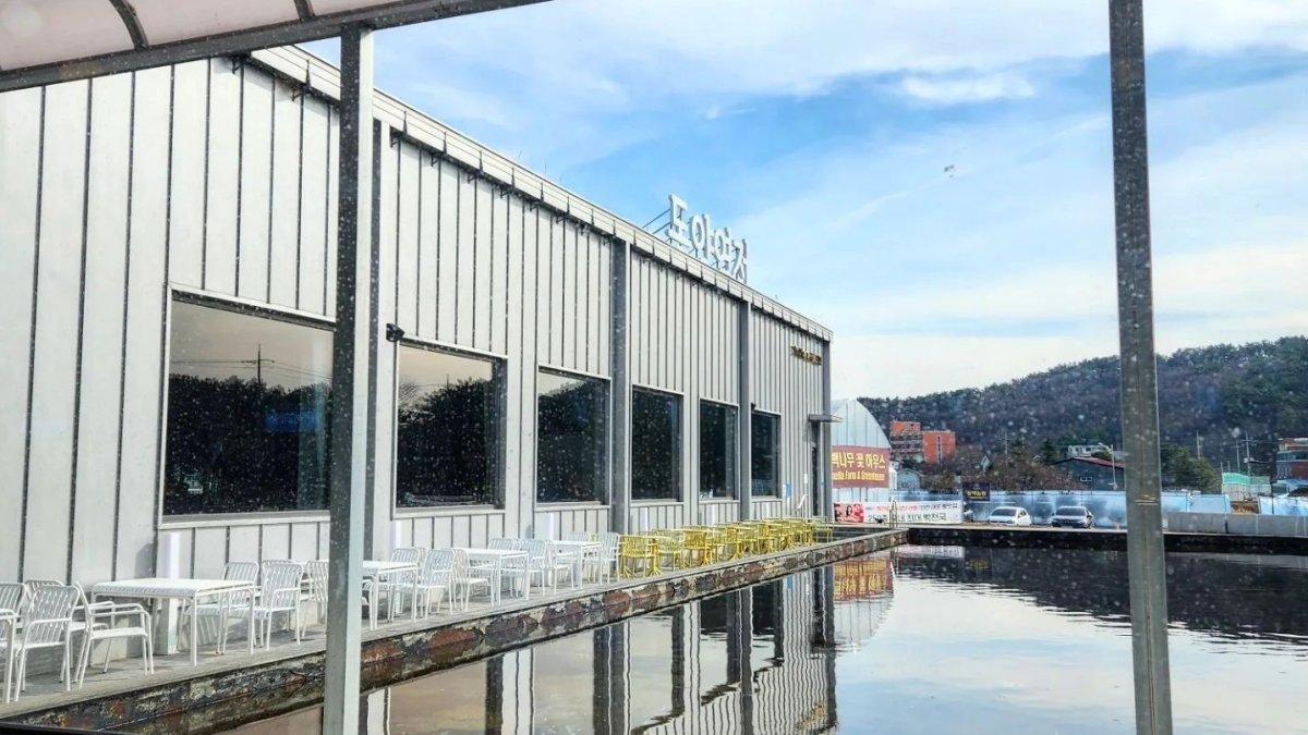 Dongyang Bakery Cafe, satu kafe hits di Incheon Korea Selatan yang terkenal estetik dengan kuliner yang unik.