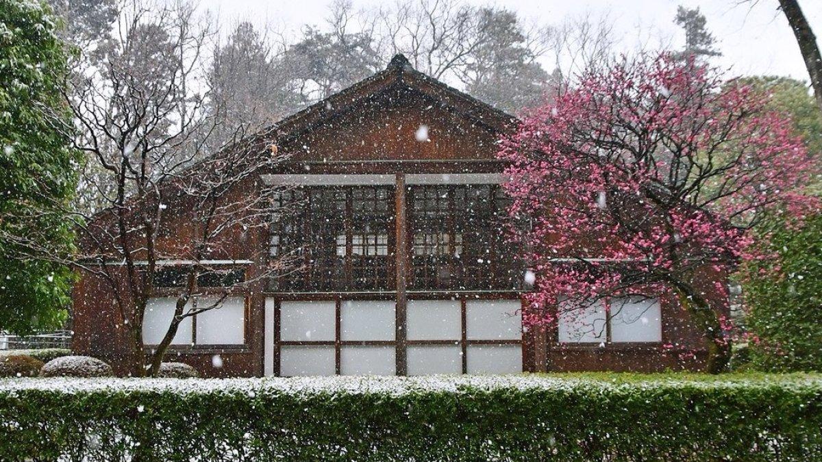 Edo-Tokyo Open-Air Architectural Museum, satu taman bersejarah di Jepang yang wajib kamu kunjungi.