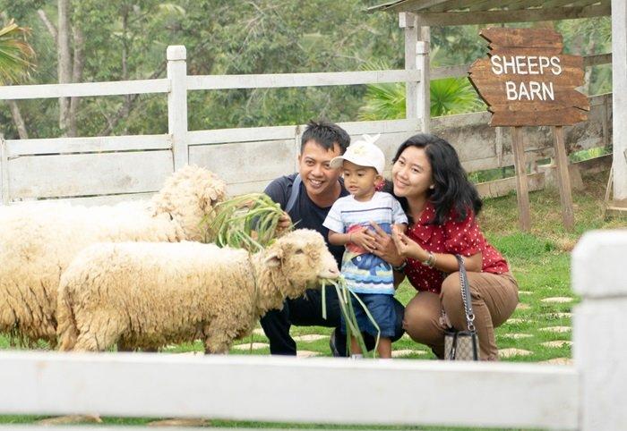 Farmora di Telukbetung Utara, Kota Bandar Lampung, Lampung bisa menjadi tempat wisata ramah keluarga yang menarik untuk dikunjungi.