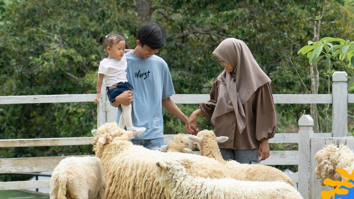 Farmora adalah satu tempat wisata di Bandar Lampung yang ramah anak.