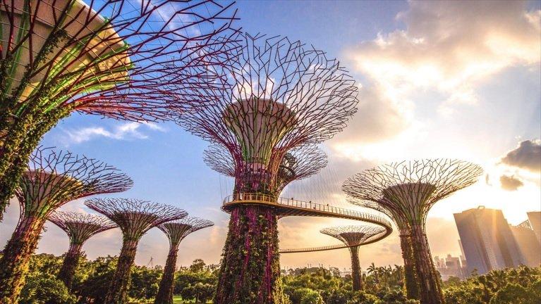 Supertree Grove wahana gratis di Gardens by the Bay, rekomendasi salah satu tempat wisata di Singapura.