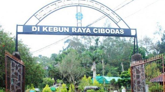 Gerbang Kebun Raya Cibodas, Cianjur, Jawa Barat